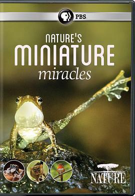 大自然：自然界的微型奇迹 Natural World:Nature's Miniature miracles