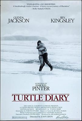 海龟日记 Turtle Diary