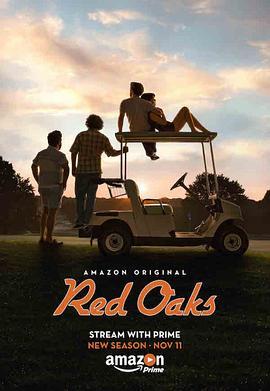 红<span style='color:red'>橡树</span> 第二季 Red Oaks Season 2