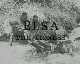 母狮爱尔莎 Elsa the Lioness