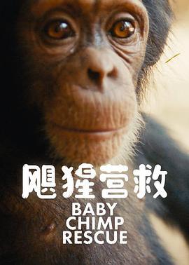 飓猩营救 Baby Chimp Rescue