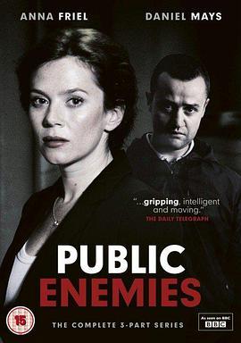 <span style='color:red'>公</span><span style='color:red'>众</span><span style='color:red'>之</span>敌 Public Enemies