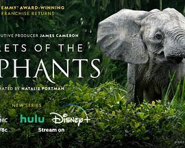 Secrets of the Elephants Season 1