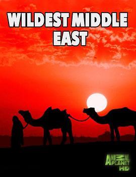 <span style='color:red'>中东</span>野生大地 Wildest Middle East