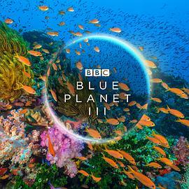 <span style='color:red'>蓝色</span>星球 第三季 Blue Planet Season 3