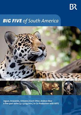 南美五猛兽 Big Five Südamerika