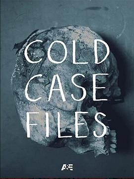 悬案档案 第二季 Cold Case Files Season 2