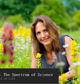 色彩的奥秘 Colour: The Spectrum of Science