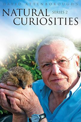 自然趣闻 第二季 David Attenborough's Natural Curiosities Season 2