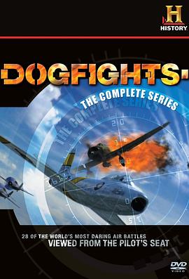 空中格斗 Dogfights