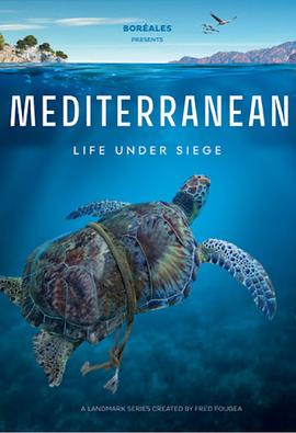地中海 Mediterranean: Life Under Siege