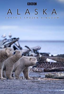 阿拉斯加：地球上的冰冻<span style='color:red'>王国</span> Alaska: Earth's Frozen Kingdom