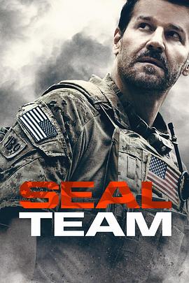 <span style='color:red'>海豹</span>突击队 第二季 SEAL Team Season 2