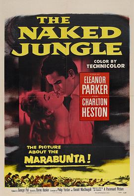 蚂蚁雄兵 The Naked Jungle