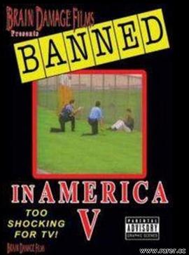 禁播视频五集 Banned! In America V: The Final Chapter