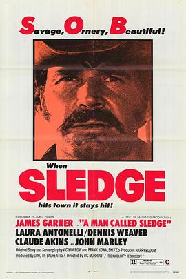 金关龙虎斗 A Man Called Sledge