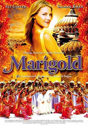 玛丽戈蒂的印度之旅 Marigold