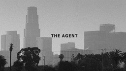 间谍 The Agent
