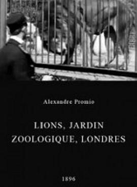 伦敦动物园的狮子 Lion, London Zoological Gardens