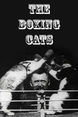 <span style='color:red'>拳击</span>猫 The Boxing Cats (Prof. Welton's)