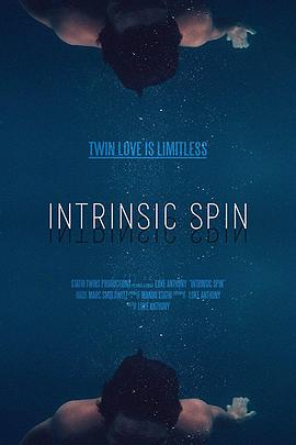 Intrinsic Spin