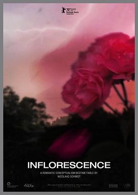 花序 Inflorescence