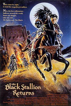 黑神驹2 The Black Stallion Returns
