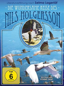 尼尔斯骑鹅旅行记 Nils Holgerssons wunderbare Reise