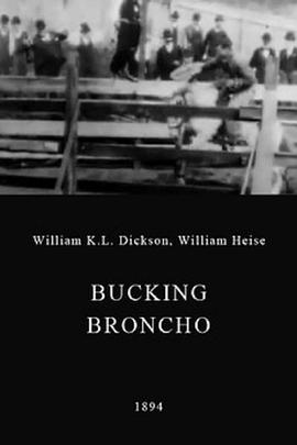 跃起的马 Bucking Broncho