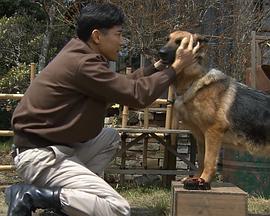 导盲犬诞生物语 ありがとう！チャンピイ～日本初の盲導犬誕生物語