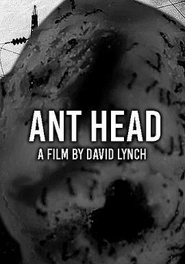 蚂蚁头 Ant Head