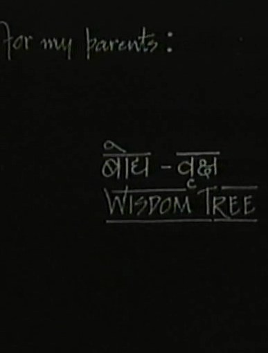 智慧树 Wisdom Tree