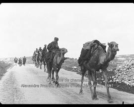骆驼商队 Caravane de chameaux