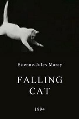 下落的猫 Falling Cat