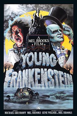 <span style='color:red'>新科</span>学怪人 Young Frankenstein
