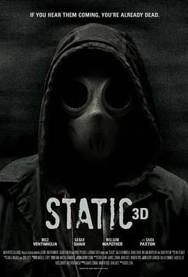 静态 Static
