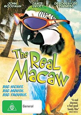 金刚鹦鹉 The Real Macaw