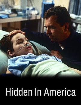 光明的背后 Hidden in America