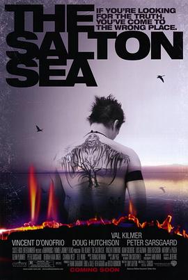 万里追凶 The Salton Sea