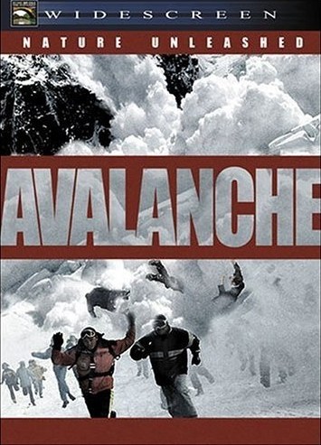 零下911 Nature Unleashed: Avalanche