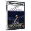 珍妮古道尔：<span style='color:red'>希望</span>的理由 Jane Goodall: Reason for Hope