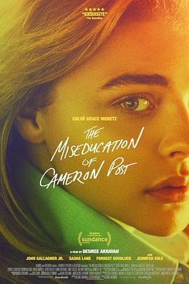 <span style='color:red'>错误</span>教育 The Miseducation of Cameron Post