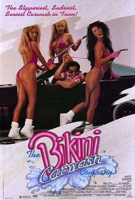 比基尼洗车场 The Bikini Carwash Company II