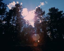 冥想中的幻象 #3：柏拉图的洞穴 Visions in Meditation #3: Plato's Cave