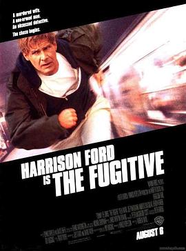 <span style='color:red'>亡命天涯</span> The Fugitive