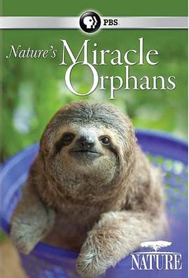 了不起的动物遗孤 nature's miracle orphans