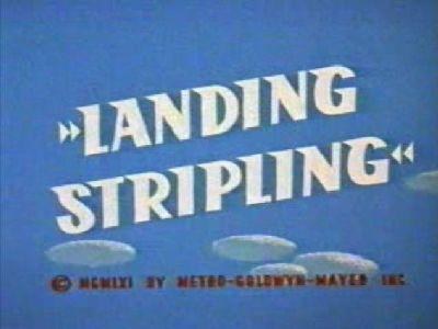 啄木鸟 Landing Stripling