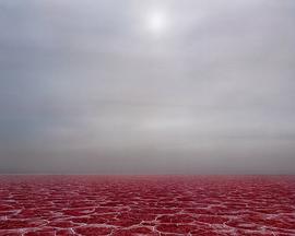<span style='color:red'>盐</span>漠 Salt
