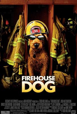 消<span style='color:red'>防</span>犬 Firehouse Dog