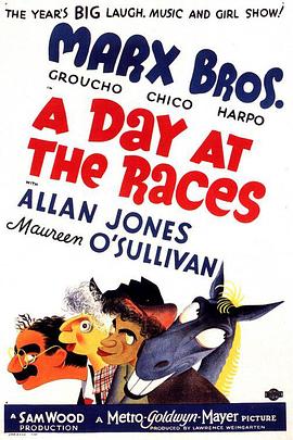<span style='color:red'>赌马</span>风波 A Day at the Races
